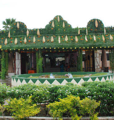 Pandhal Decoration
